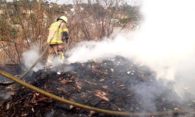 Perhutani Minta Masyarakat Tak Bakar Hutan untuk Buka Lahan Pertanian Perhutani Minta Masyarakat Tak Bakar Hutan untuk Buka Lahan Pertanian