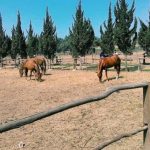 Pengunjung Dibatasi, Harga Tiket Wisata di KBB Melonjak