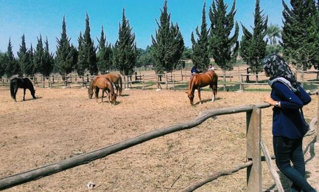 Pengunjung Dibatasi, Harga Tiket Wisata di KBB Melonjak Pengunjung Dibatasi, Harga Tiket Wisata di KBB Melonjak