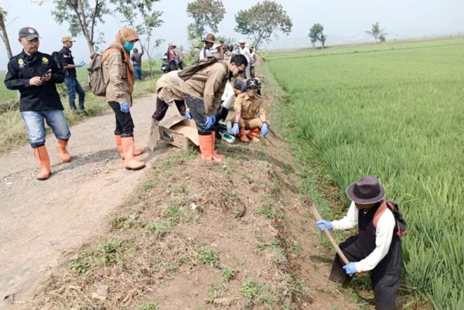 Petani Butuh Tindakan Nyata Pemerintah