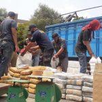 Setengah Ton Ganja Masuk Kota Bekasi