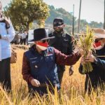 Lahan Pertanian di Cimahi Tinggal 137 Hektare