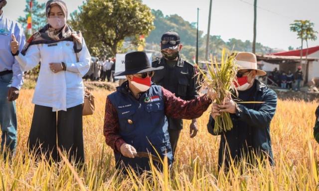 Lahan Pertanian di Cimahi Tinggal 137 Hektare