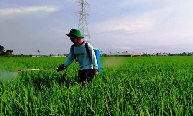 BRI Salurkan Kredit untuk Pertanian Sebesar Rp117,54 triliun
