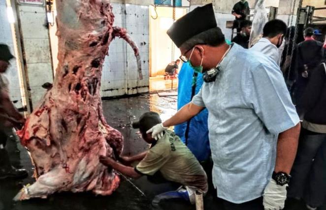 Pemkab Gratiskan Biaya Pemotongan di RPH