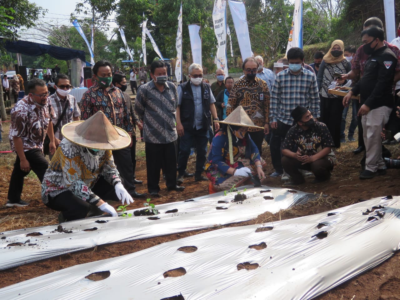 Terdampak Covid-19, 128 warga KBB dapat Pelatihan Padat Karya Pertanian Terdampak Covid-19, 128 warga KBB dapat Pelatihan Padat Karya Pertanian