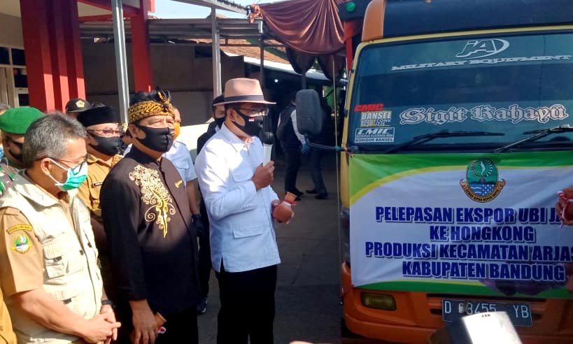 Ubi Jalar Asli Arjasari Tembus Pasar Ekspor ke Negara Hongkong