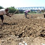 Dinas Pertanian Kab. Bandung Klaim Kekeringan Lahan Sawah Masih Terkendali
