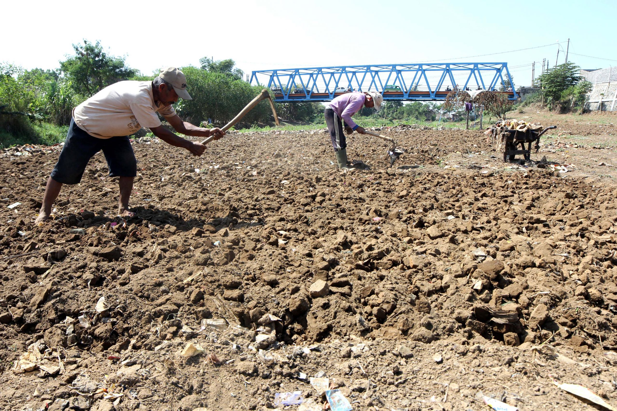 Dinas Pertanian Kab. Bandung Klaim Kekeringan Lahan Sawah Masih Terkendali