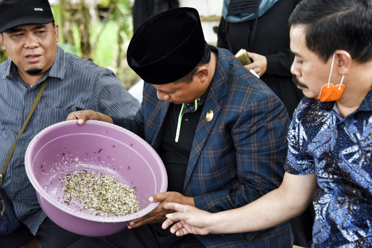 Budidaya Kroto Bisa Dikembangkan di Tingkat Desa