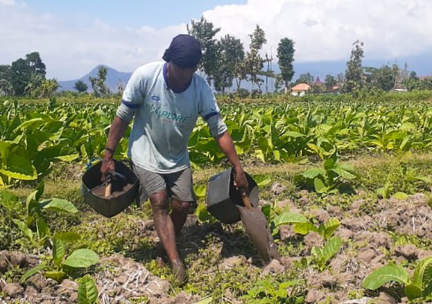 Program Pupuk Bersubsidi Membuat Petani Malah Kesulitan, Kok Bisa?
