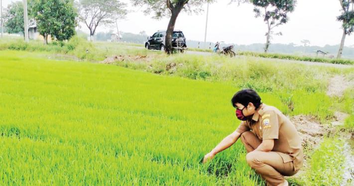 Kartu Tani Malah Bikin Ribet