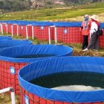 Optimalkan Lahan Terbatas dengan Integrated Farming