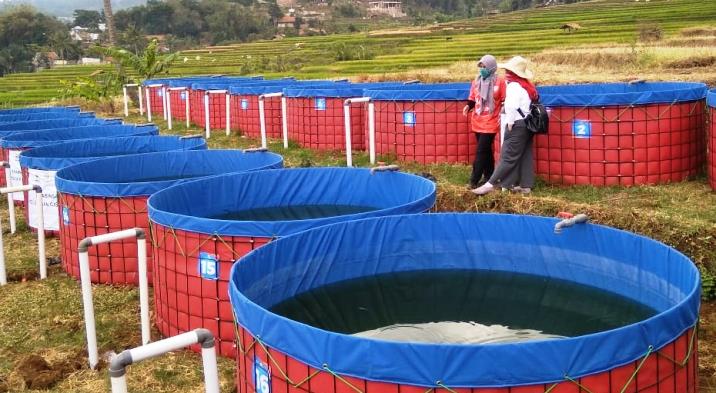Optimalkan Lahan Terbatas dengan Integrated Farming