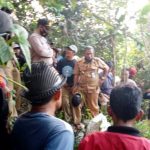 Pencari Madu di Garut Tewas, Diduga Terjatuh Saat Selamatkan Diri dari Serangan Lebah