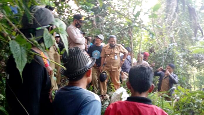 Pencari Madu di Garut Tewas, Diduga Terjatuh Saat Selamatkan Diri dari Serangan Lebah Pencari Madu di Garut Tewas, Diduga Terjatuh Saat Selamatkan Diri dari Serangan Lebah