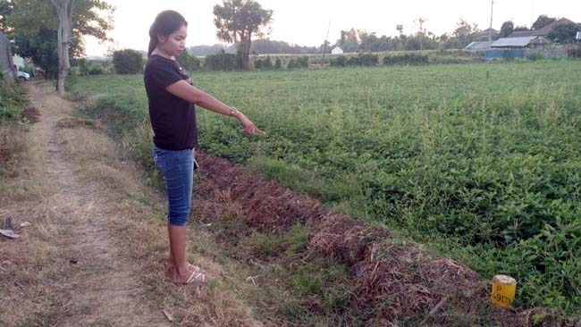 Petani di Desa Pagerwangi Resah, Lahan Garapan Dipasang Patok yang Mengaku dari BPN