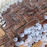 Lagi, Warga Lapor Temukan Beras Campur Biji Plastik