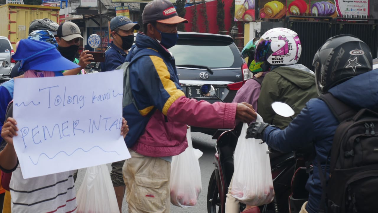Kesal Harga Tomat Anjlok, Petani di Lembang Bagikan Gratis Kepada Pengguna Jalan