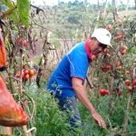 ASN KBB Siap Borong Sayuran dari Petani
