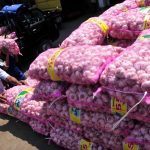 DPR RI Akan Panggil Dua Menteri untuk Selesaikan Kisruh Impor Bawang Putih