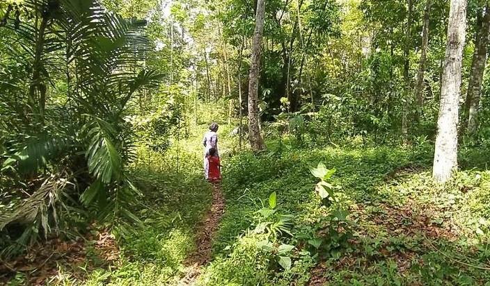 Waduh! Penampakan Hewan Misterius di Ciamis Hantui Warga hewan misterius itu sejak seminggu lalu . Dimana, hewan tersebut menyerupai macan, namun ada juga yang menyebut hewan musang