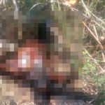 Mayat Tanpa Identitas Gegerkan Warga Cikalong Kulon KBB