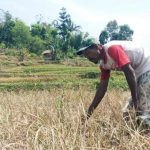 Pemilihan Komoditas dalam Program Petani Milenial