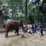Liburan di Masa Pandemi Covid-19 Kebun Binatang Bandung Ramai Dikunjungi Wisatawan