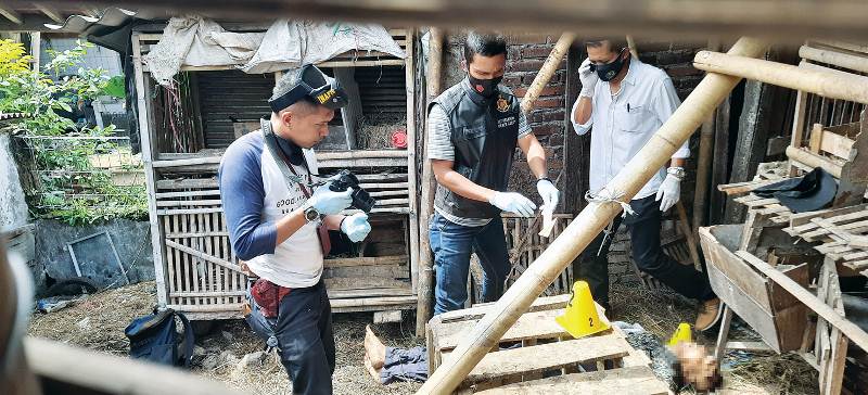 Dadang Warga Bantar Lebak Garut Tewas di Kandang Ayam