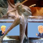 Survei Tekanan Sosial