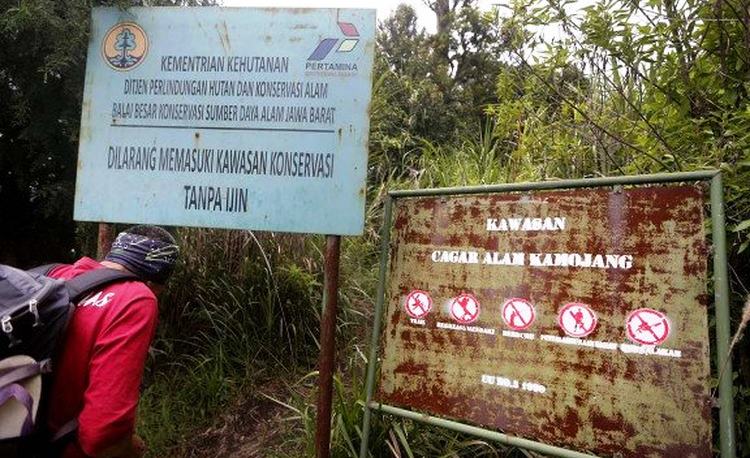 Soroti Pelanggaran Cagar Alam