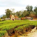 Pembangunan Astro Highland dan D'Ranch di Subang Dikhawatirkan Ganggu Lahan Konservasi dan Sumber Air