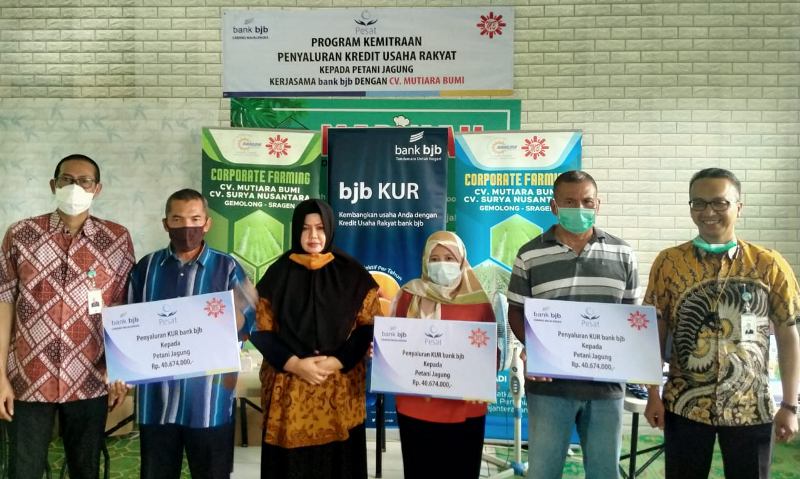 bank bjb Salurkan KUR kepada Petani di Majalengka