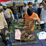 Orang yang Ancam Kadis PUPR dengan Bawa Ular Piton Ternyata Mantan Tim Sukses Aa Umbara