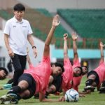 Timnas Batal Gelar Laga Uji Coba, Ketum PSSI Akui Shin Tae-yong Sempat Kesal