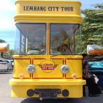 Organda KBB Minta Dishub dan Polisi Evaluasi Keberadaan Ontang-Anting