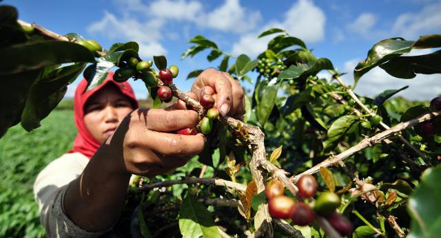 2021,Ekonomi Diprediksi Melesat