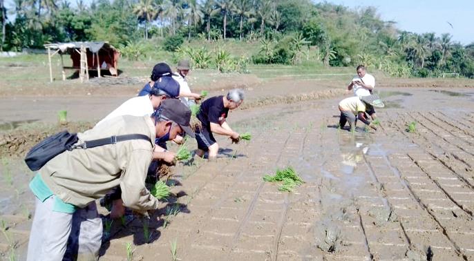 Pemkab Purwakarta Minta Petani Segera Tanam Padi