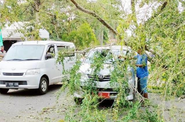 Pohon Tumbang, Timpa Dua Mobil di Sumedang