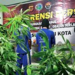 Polisi Temukan Lahan Ganja