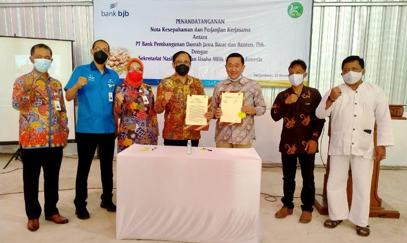 Stimulasi Usaha Tani bank bjb Siapkan Kapulaga Dongkrak Perekonomian Pangandaran Stimulasi Usaha Tani bank bjb Siapkan Kapulaga Dongkrak Perekonomian Pangandaran