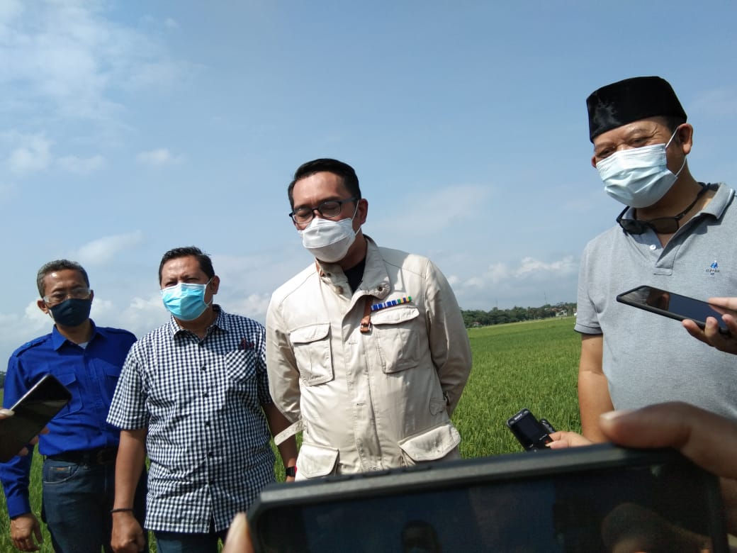 Gubernur Usulkan Pelabuhan Patimban Didukung Pembentukan Kota Baru Gubernur Usulkan Pelabuhan Patimban Didukung Pembentukan Kota Baru