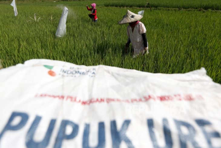 Petani Keluhkan Harga Pupuk