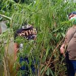 Empat Kecamatan di KBB Terditeksi Jadi Tempat Peredaran Narkotika