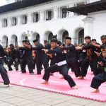 Lestarikan Pencak Silat Melalui Kurikulum