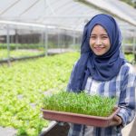 Milenial Harus Ubah Mindset tentang Bertani, Regenerasi Petani Penting untuk Jaga Ketahanan Pangan