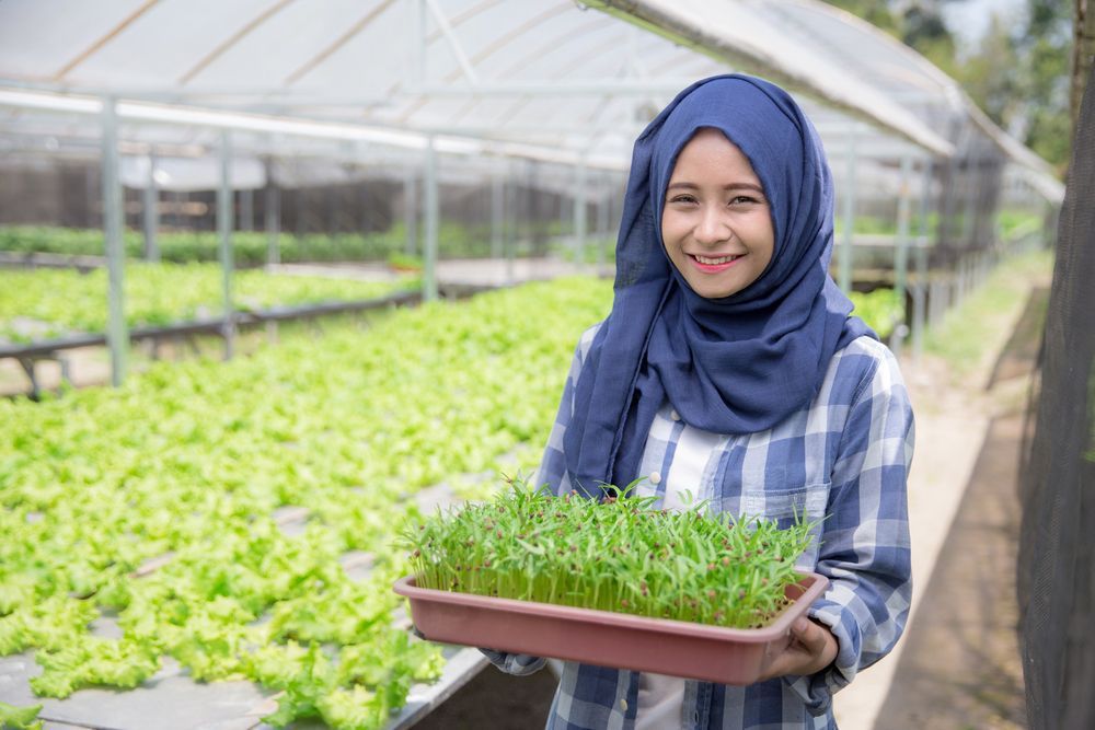 Milenial Harus Ubah Mindset tentang Bertani, Regenerasi Petani Penting untuk Jaga Ketahanan Pangan