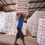 Beras Impor Tahun 2018 Rusak, Indonesia Diperkirakan Rugi Rp1,25 Triliun