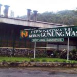 PTPN VIII Hampir Bangkrut, Miliki Utang Rp 5 Triliun dan 3.952 Karyawan Belum Dapat SHT